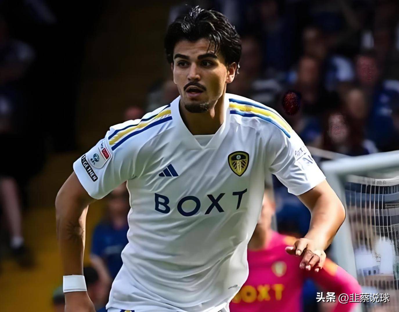 关于荷兰新星表现抢眼，多支英超球队发出邀请的信息